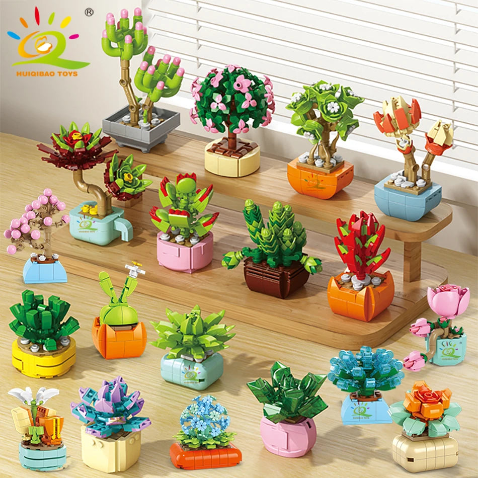 The Desert Blossom Cactus Kit