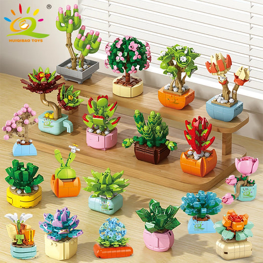 The Desert Blossom Cactus Kit