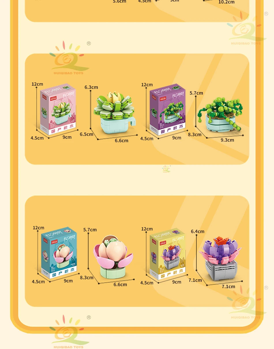 The Desert Blossom Cactus Kit