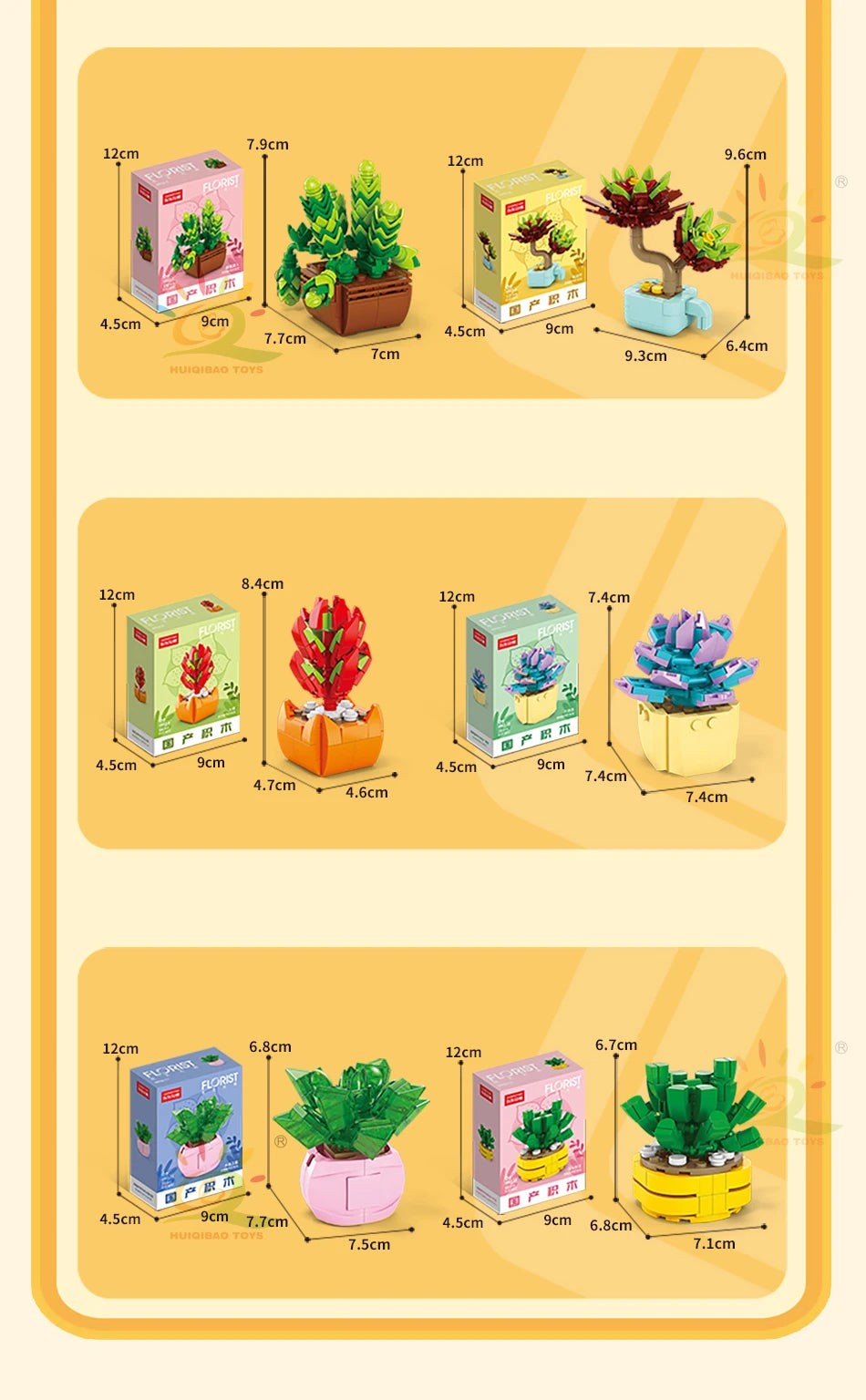 The Desert Blossom Cactus Kit